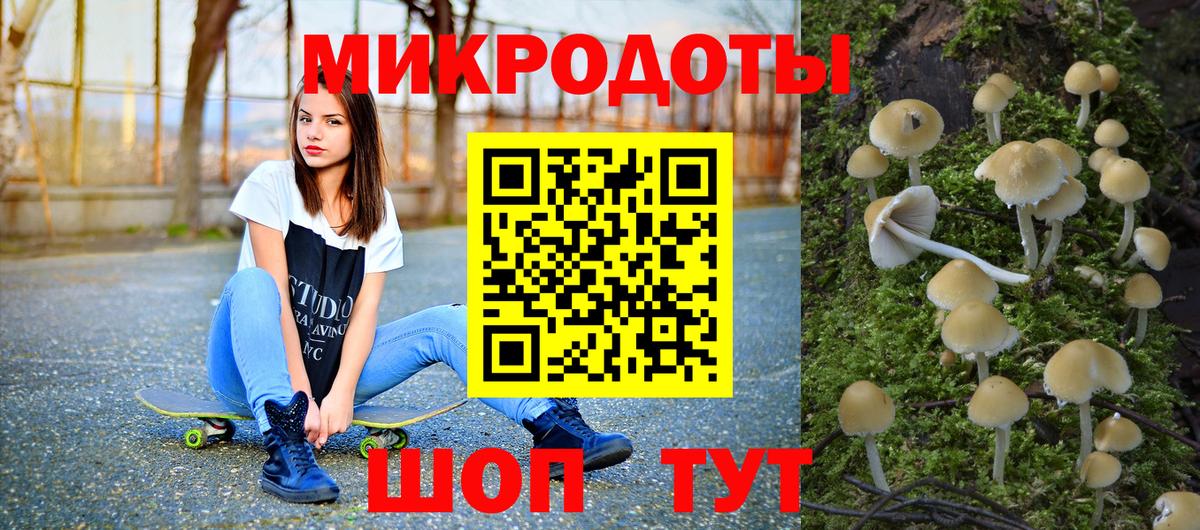 Галлюциногенные грибы мухоморы Заинск