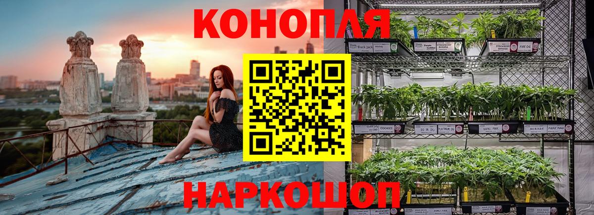 Шишки марихуана план Заинск